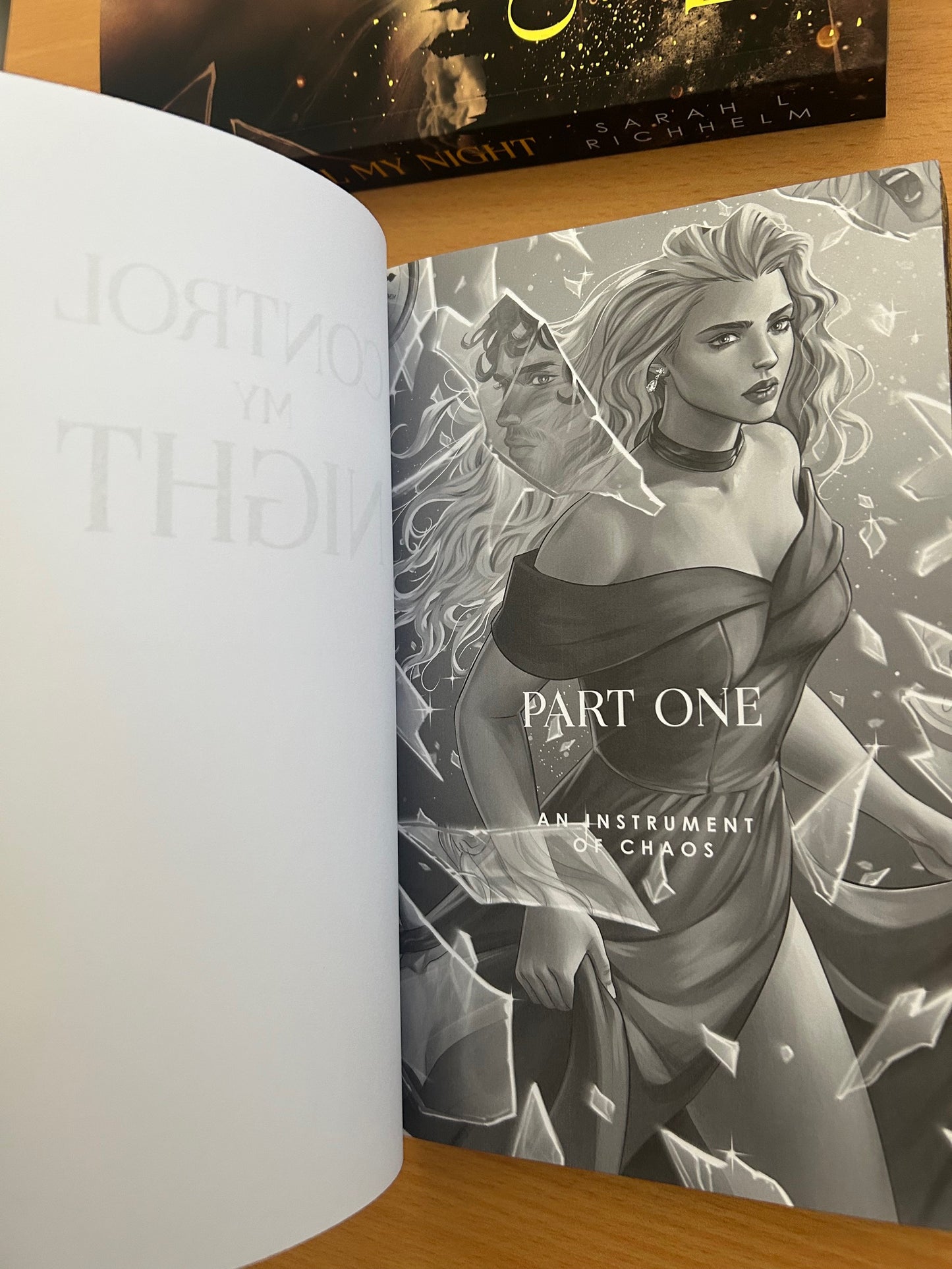 SPECIAL EDITION Paperback + Art Set - Control My Night | Sarah L Richhelm