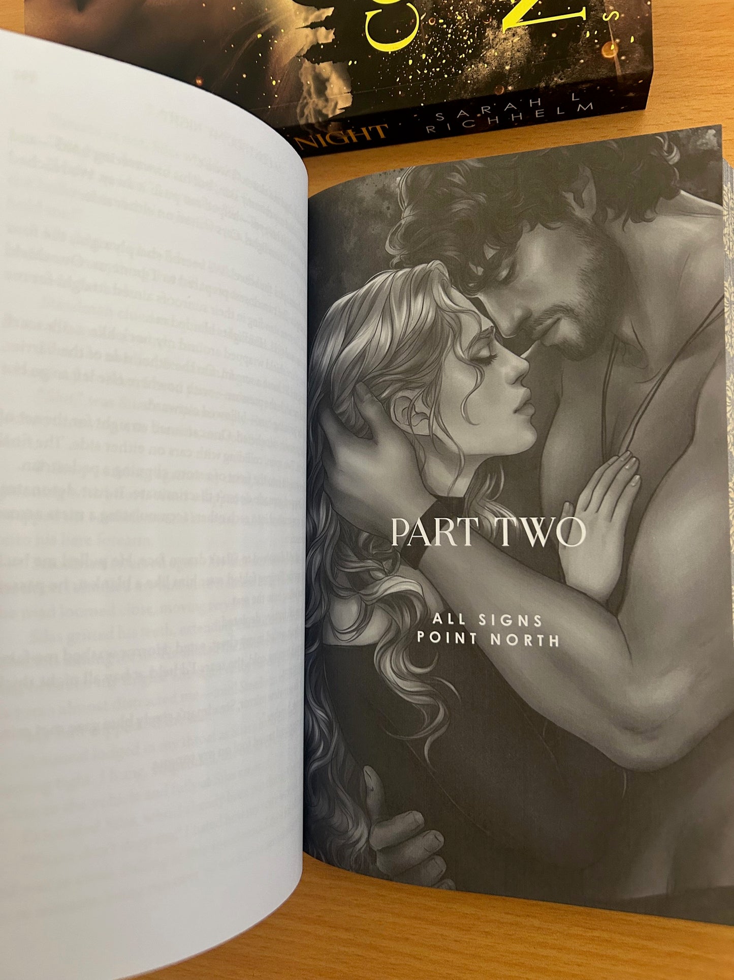 SPECIAL EDITION Paperback + Art Set - Control My Night | Sarah L Richhelm