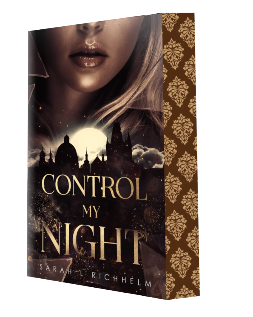 SPECIAL EDITION Paperback + Art Set - Control My Night | Sarah L Richhelm
