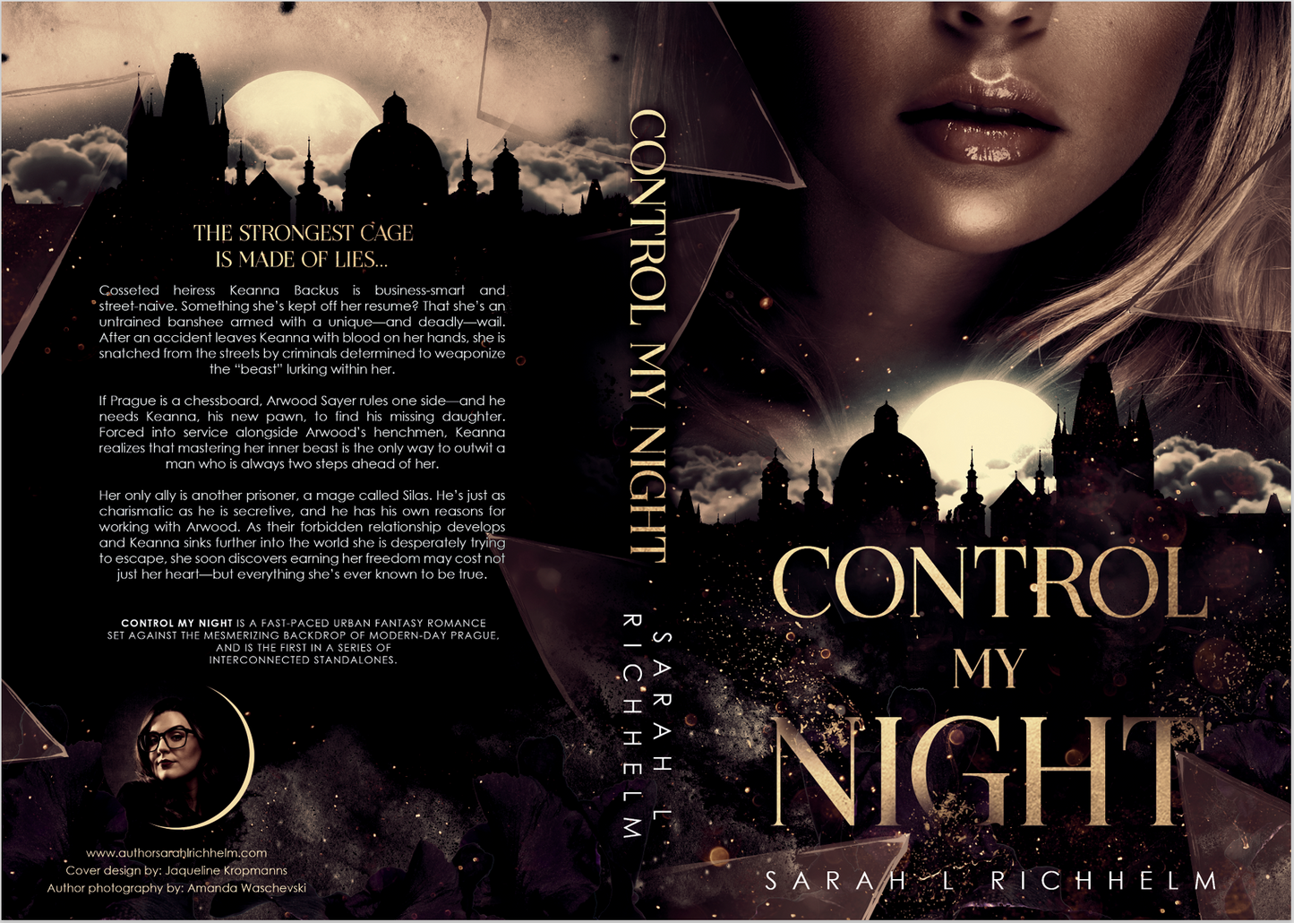 Paperback - Control My Night | Sarah L Richhelm